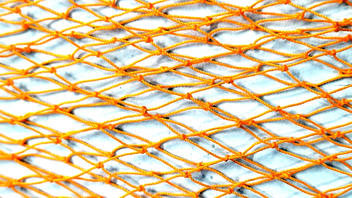 মাছ রাখার নেট -  Fishing net Soft