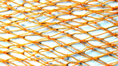 মাছ রাখার নেট -  Fishing net Soft_img_0