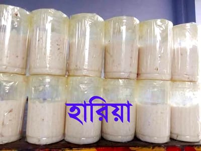 স্পেশাল হাড়িয়া ৫০০গ্রাম (২ পিছ) - Hariya Lapping or Chara 500gms (2 pis)_img_0