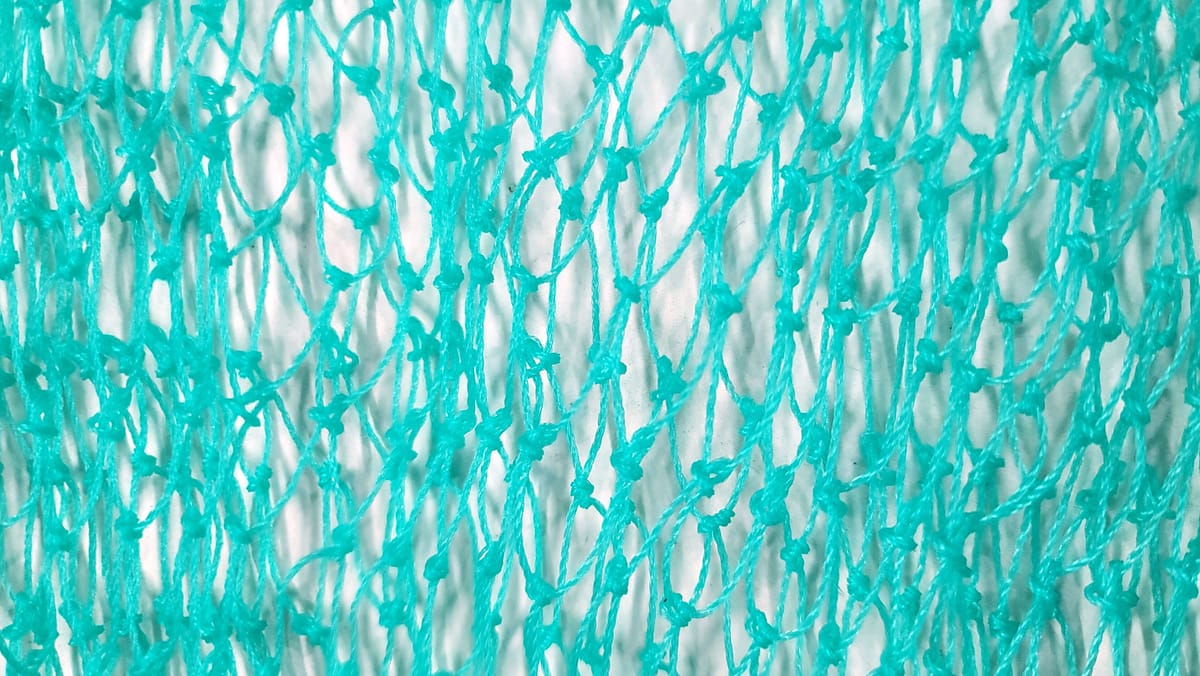 মাছ রাখার নেট - Fishing net